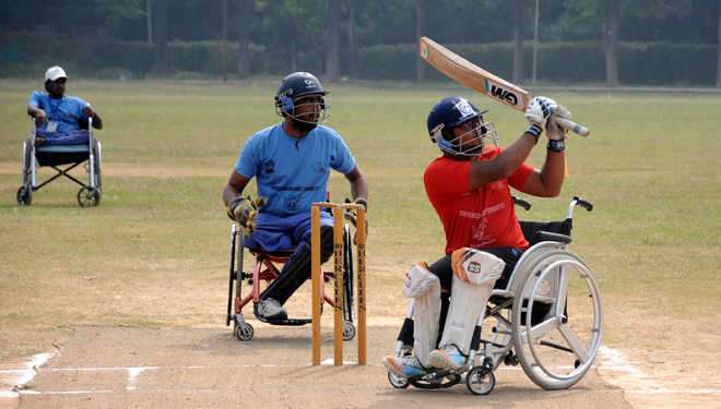 wheelchair cricket kreedon