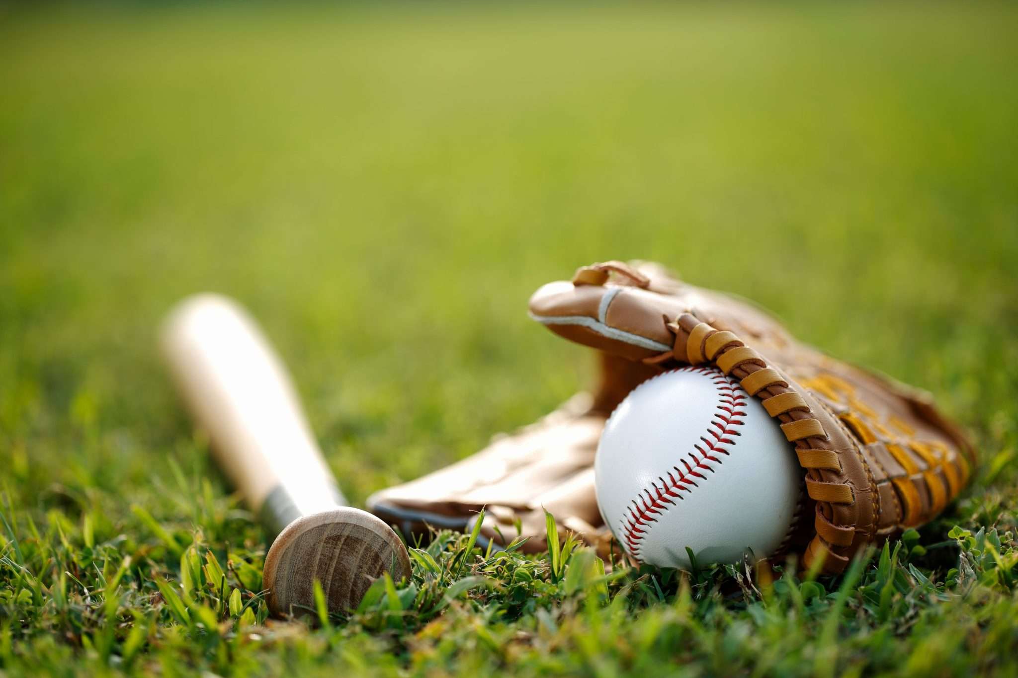 Baseball: History, Types, Objective, & Equipment - Sportsmatik
