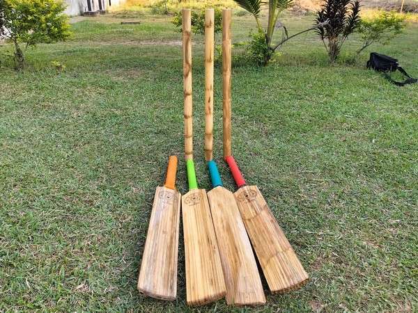 Unleashing the Power of Bamboo: The Future of Cricket Bats | All You Need To Know - KreedOn