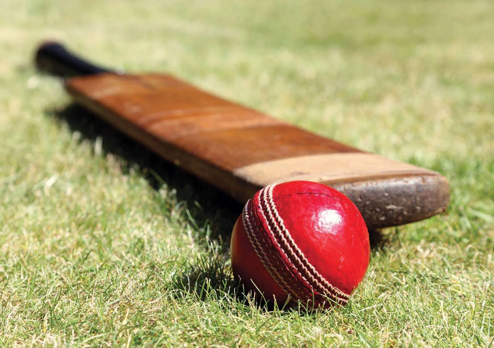 Know the Different Types of Cricket Bats & How to Choose a Cricket Bat