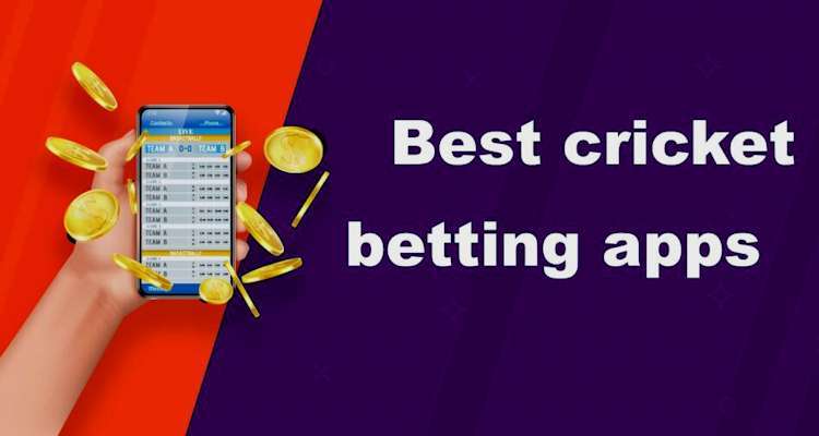 Want More Money? Start IPL match betting app