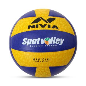 Volleyball Ball - KreedOn