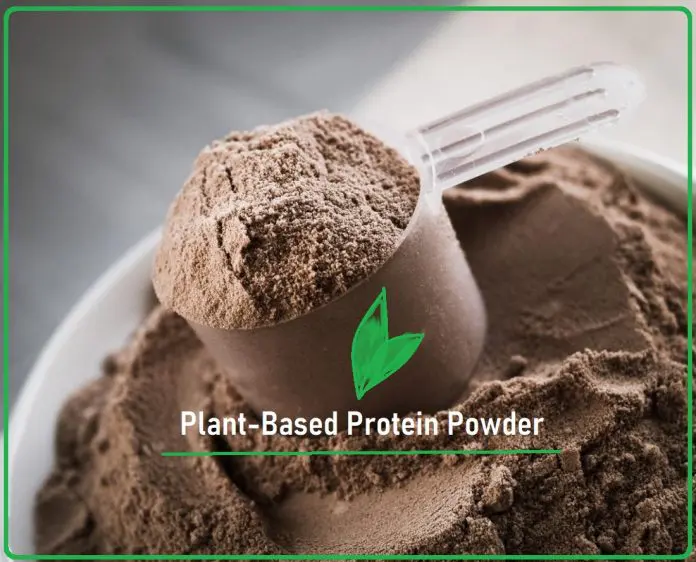 Plant Based Protein Powder- KreedOn