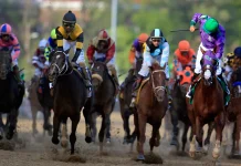 Top 10 Biggest Horse Races in the World | KreedOn