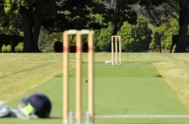 Top 10 Best Cricket Stumps with Bails | Hit the Sweet Spot - KreedOn