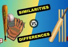 Baseball and Cricket: Exploring the Key Similarities and Differences of the Two Beloved Sports | KreedOn